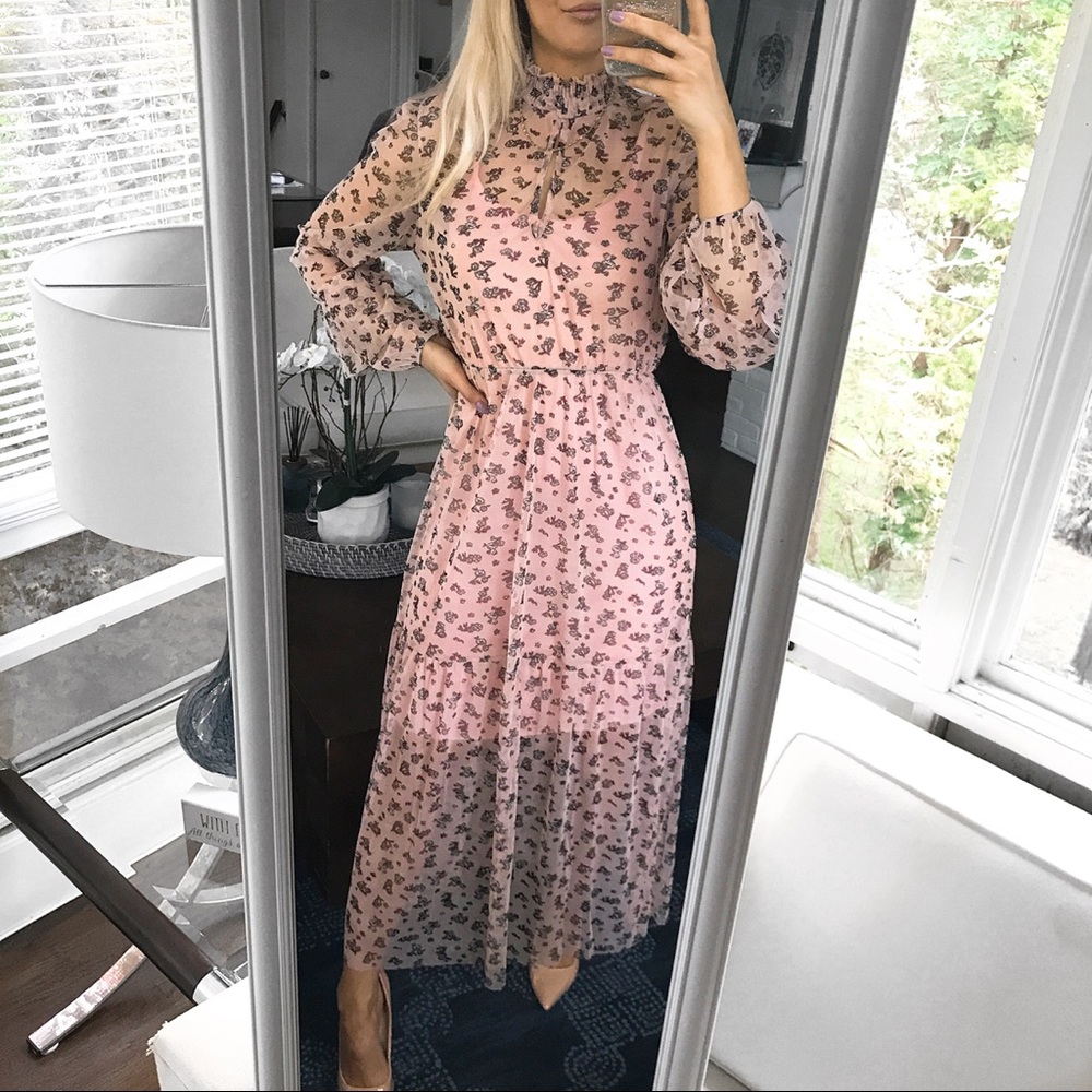 🆕BLUSH FLORAL FISHNET HIGH NECK LONG SLEEVE DRESS - Picture 7 of 11